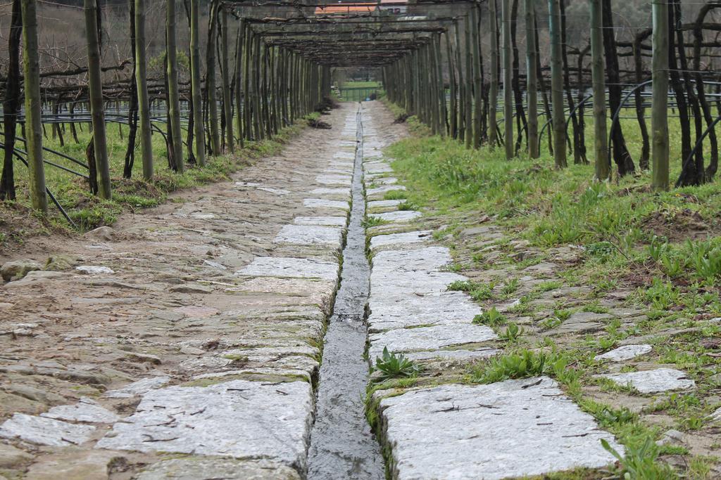 Quinta Da Eira Do Sol Villa Guimarães Buitenkant foto