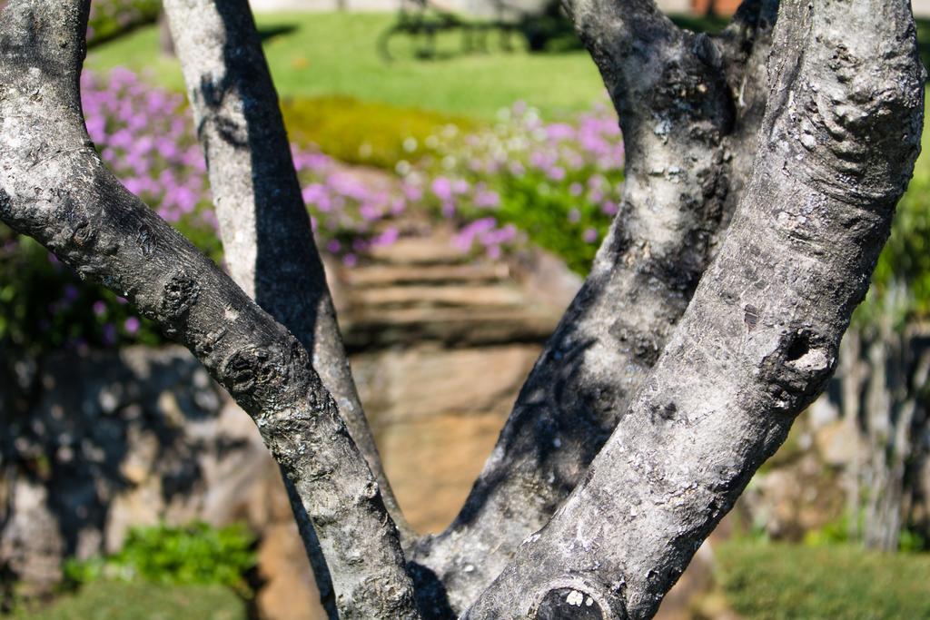 Quinta Da Eira Do Sol Villa Guimarães Buitenkant foto